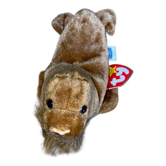 Ty Beanie Babies Paul Walrus 1999 Plush Stuffed Animal Hang 5th Gen Tush 7th Gen - Picture 2 of 11